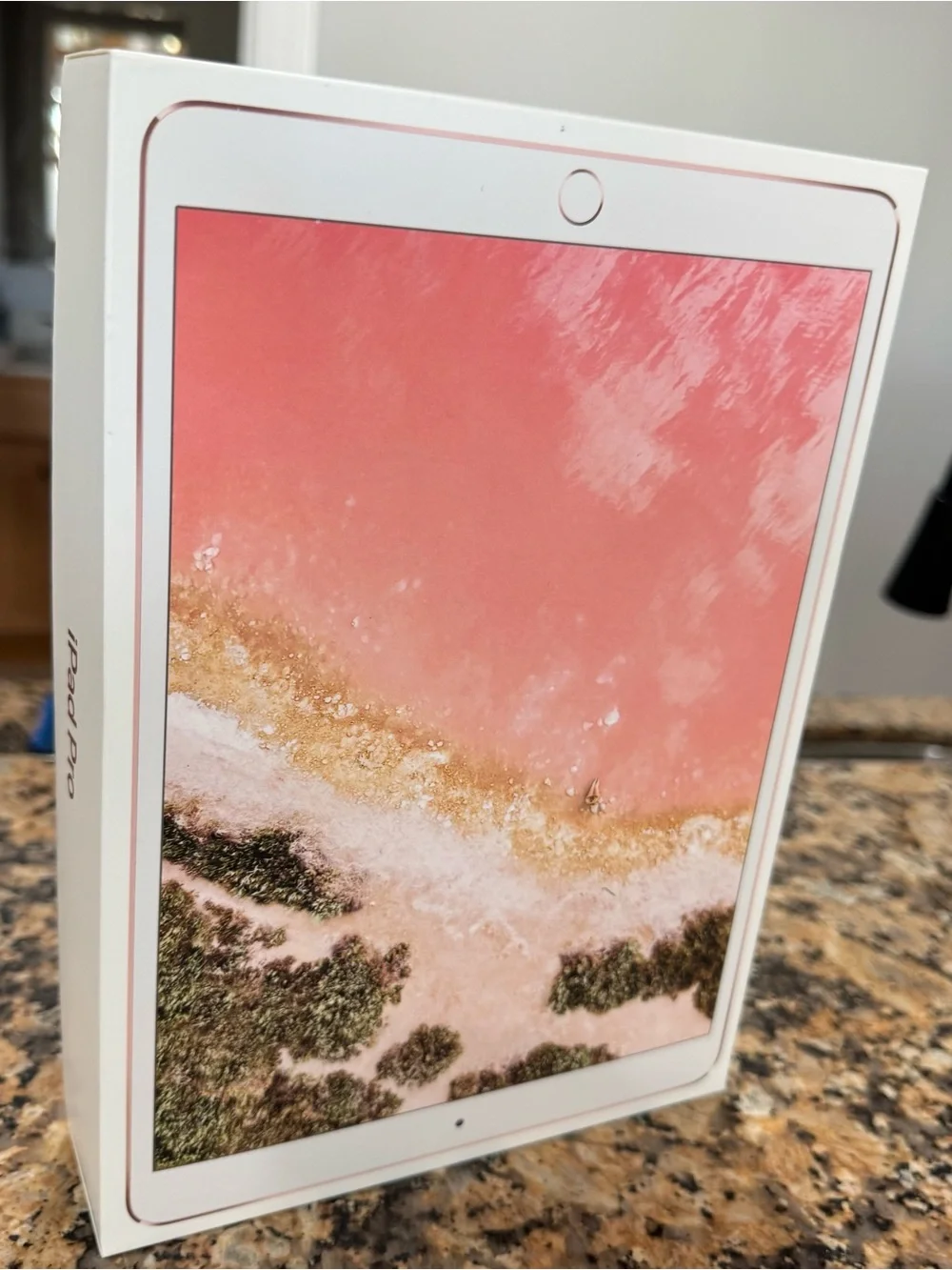 iPad Pro 10.5-Inch